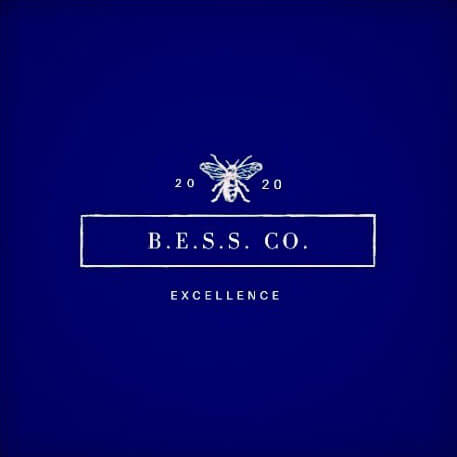 Be the B.E.S.S. Logo